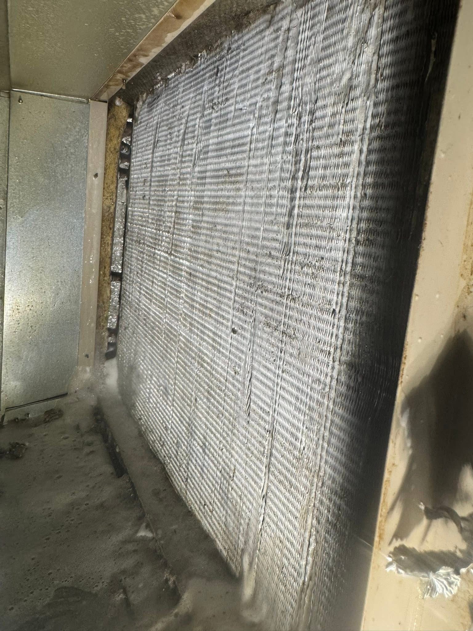 Evaporator coil cleaning
